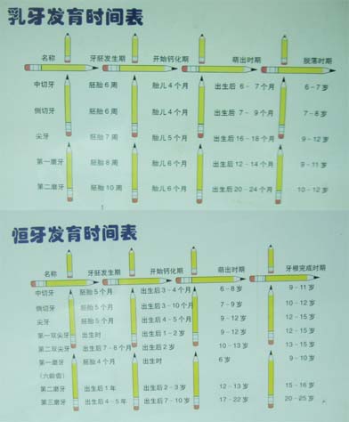 口腔科普知识