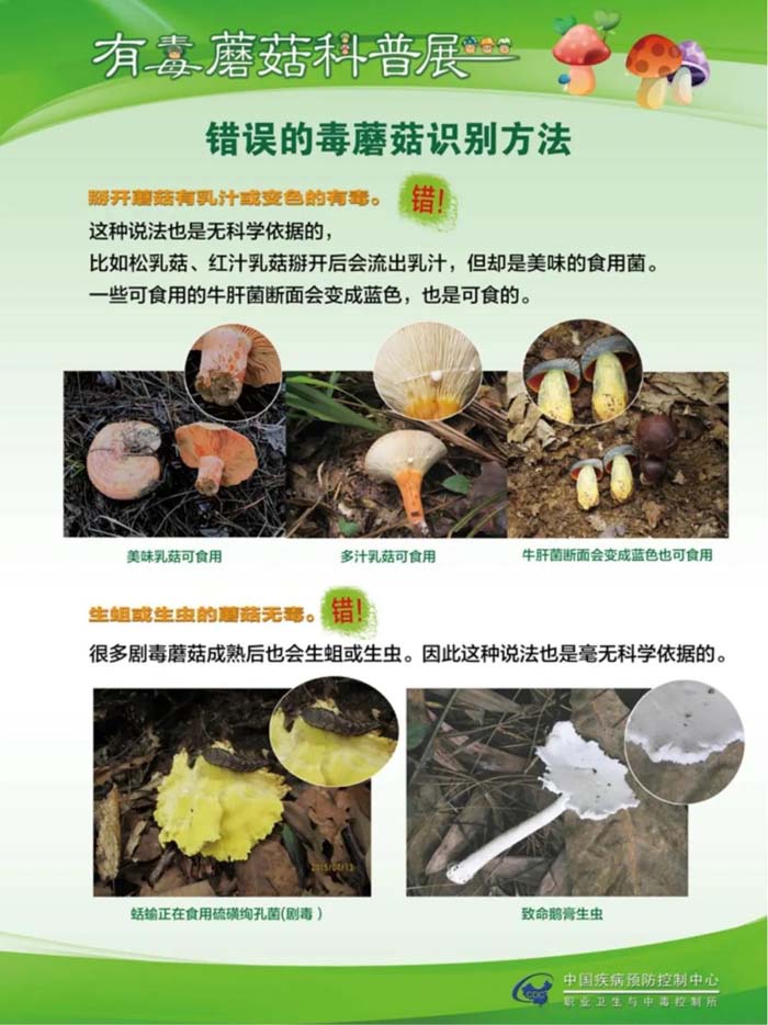 科普宣传毒蘑菇科普宣传