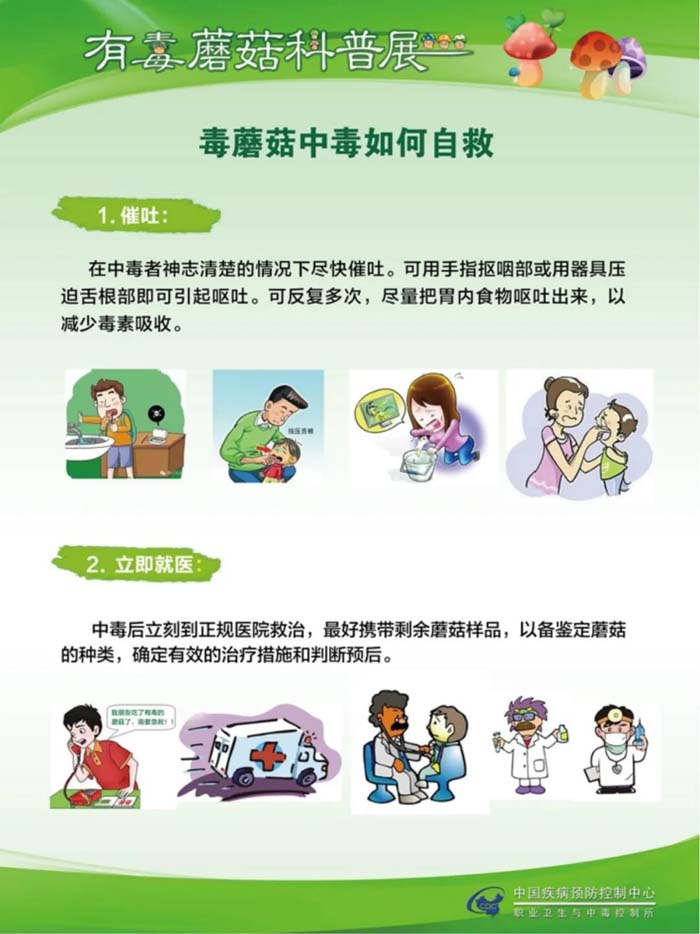 科普宣传毒蘑菇科普宣传